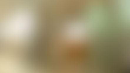 Delegation of Pele Yoetz Rabbanim Daven for Hatzlachah at Kever Rachel