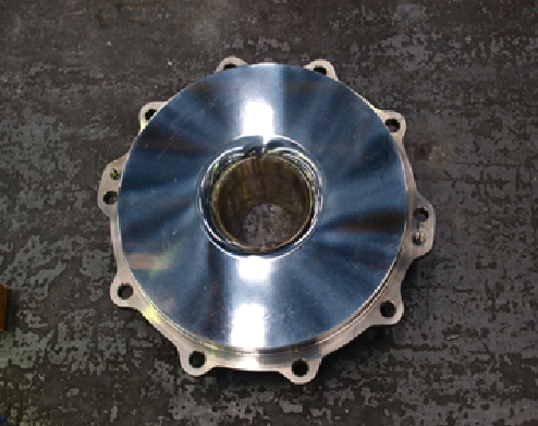 Honda Kiko latex pump polished stainless steel back cover