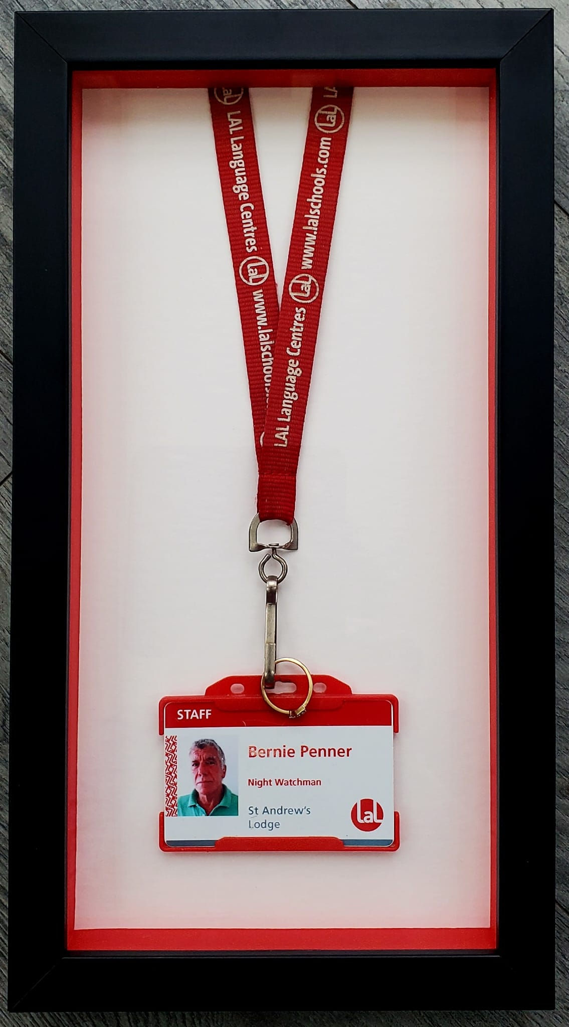 Lanyard ID Badge Job Work Career Concert Gig Sport