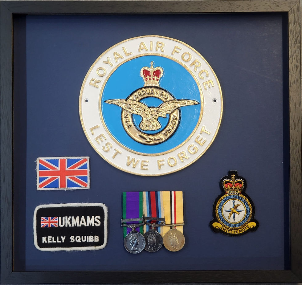 Royal Air Force RAF R.A.F. Military Medals Patches Plaque Army Navy