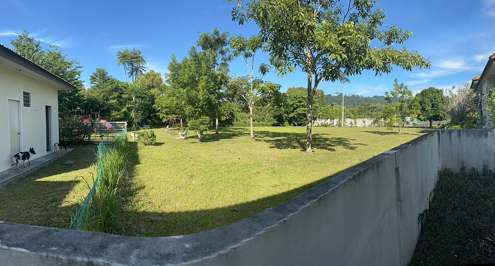 Thumbnail: Palm Garden Bungalow House, Seberang Perai, Penang