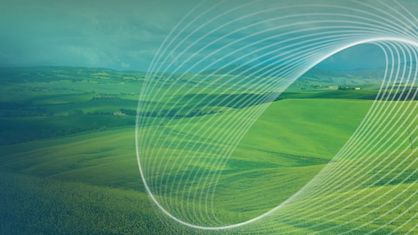 AM nyitó fotó websitera 1920x1080px.jpg