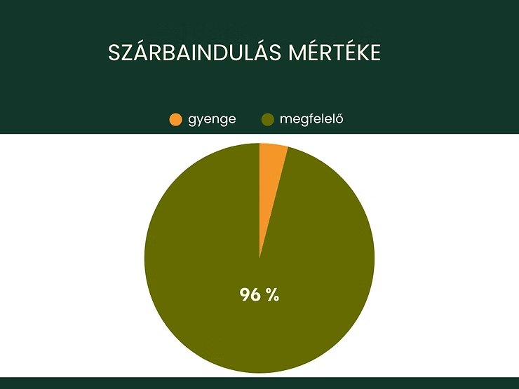 A szárbaindulás minősége