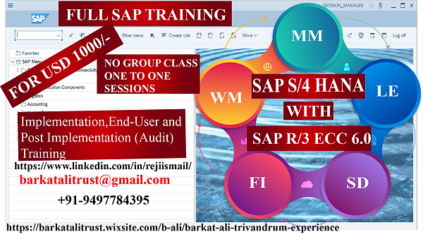 SAP PROMO.png