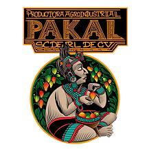 Pakal nuevo png.png