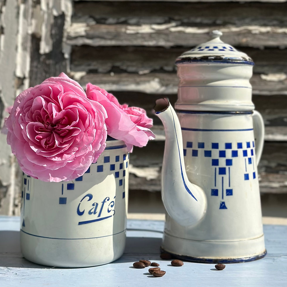 Classic blue and white Lustcru enamelware with roses