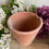 Miniature : Vintage French rustic terracotta pots set of five