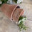 Miniature : Vintage French rustic terracotta pots set of five