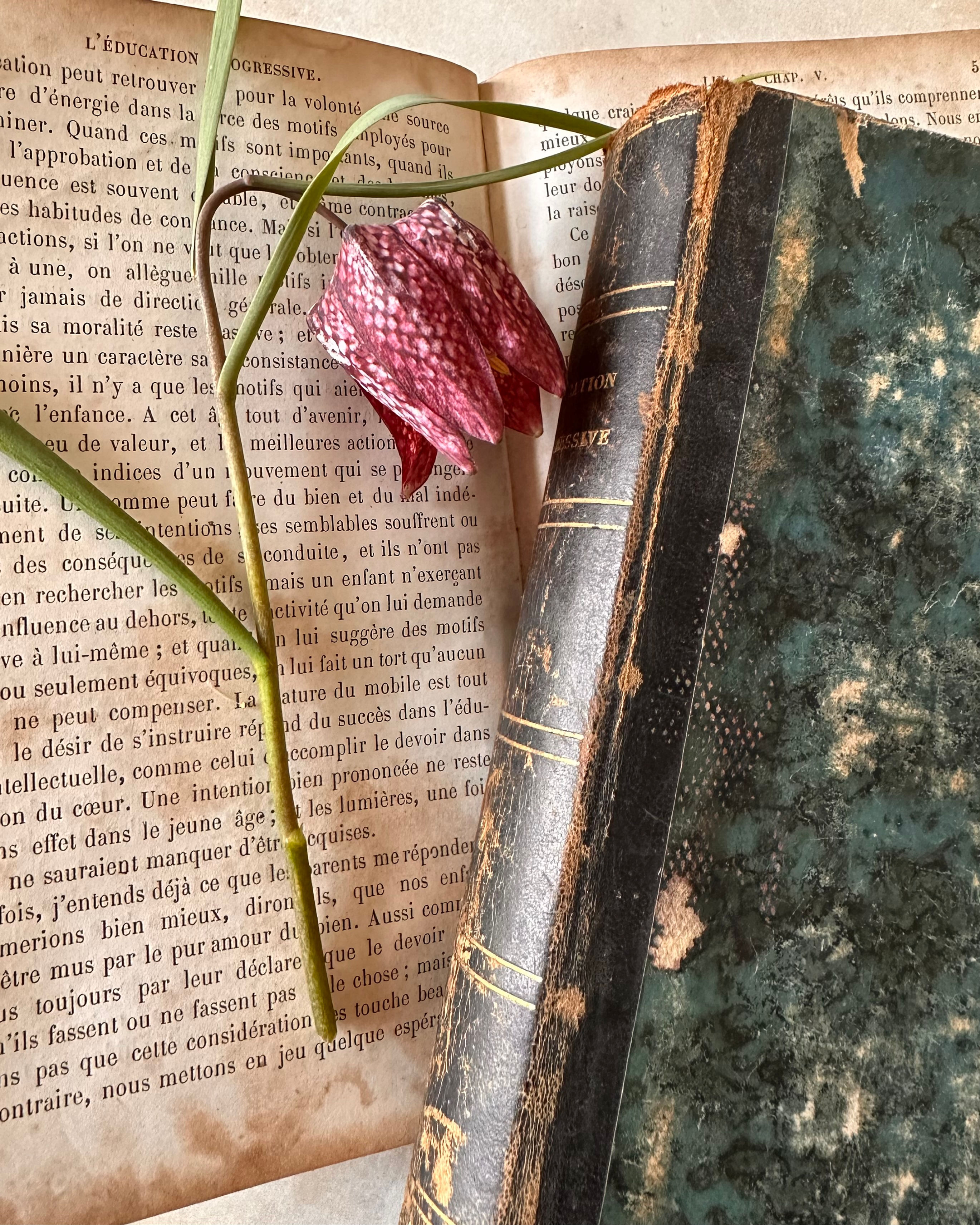 Paris 1856 leather spine Progressive Education books Volume 1&2