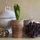 Thumbnail: Uniquely patinated Felix Potin confiture crocks