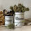Thumbnail: Pair of enamel French epicerie canisters