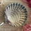 Thumbnail: Exceptional shell design pair of large French sugar spoons