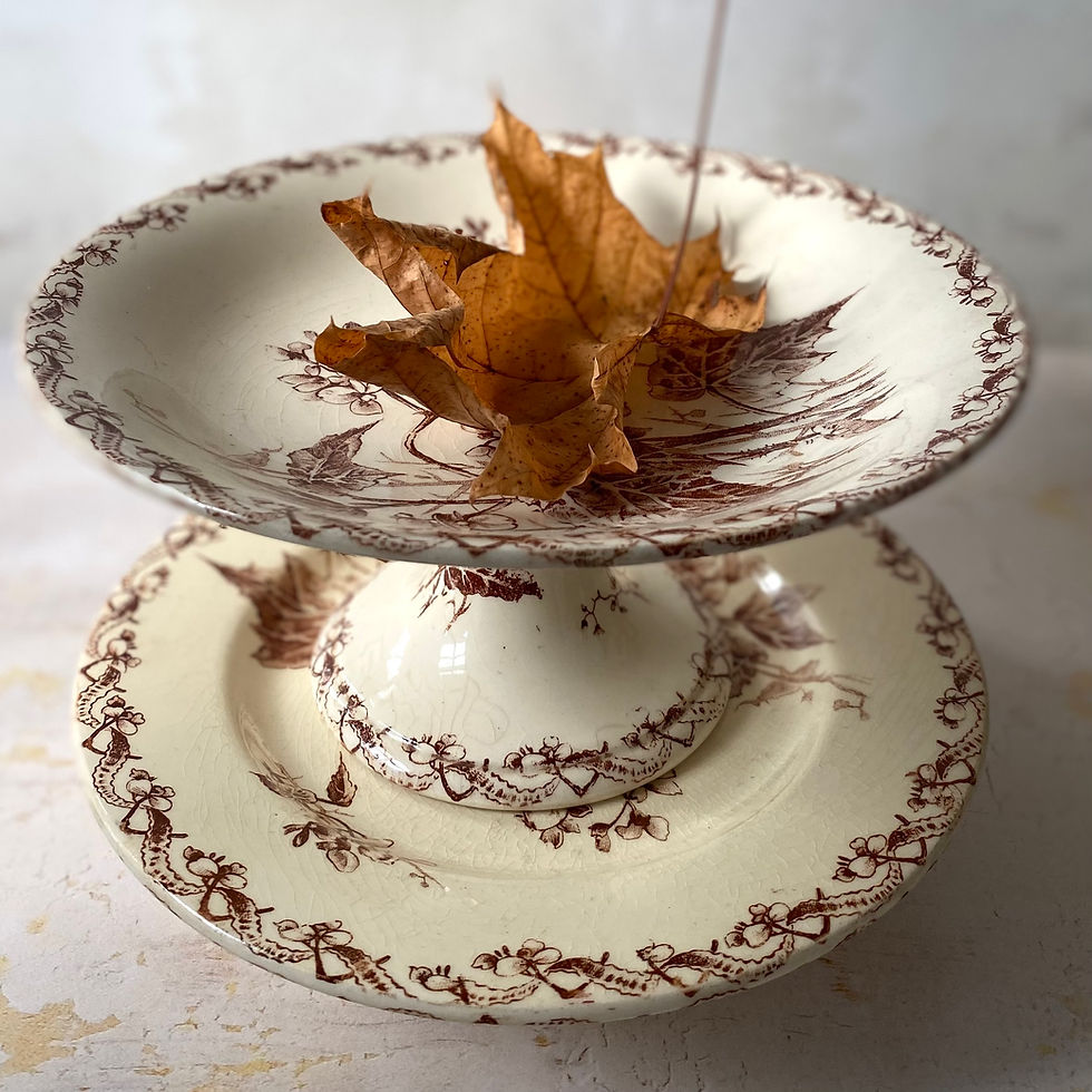 Antique French ironstone compote and footed plate
