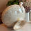 Thumbnail: Fabulously patinated French ironstone tureen