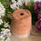 Miniature : Vintage French rustic terracotta pots set of five