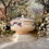 Miniature : Red Riding Hood doll's dinner service tureen and plates