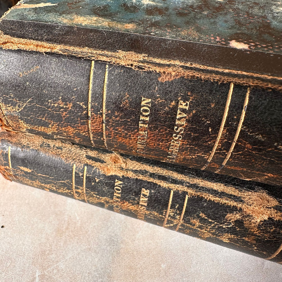 Thumbnail: Paris 1856 leather spine Progressive Education books Volume 1&2