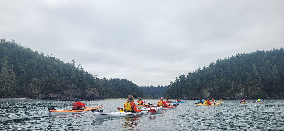 kayakers paddling in bowman bay at deception pass