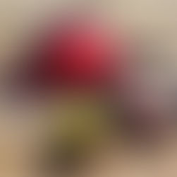 A red PFD with integrated tow system as well as 2 different waist worn tow belts for sea kayakin on the NWOC dock