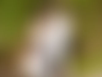 Purpose & Reacquaintance