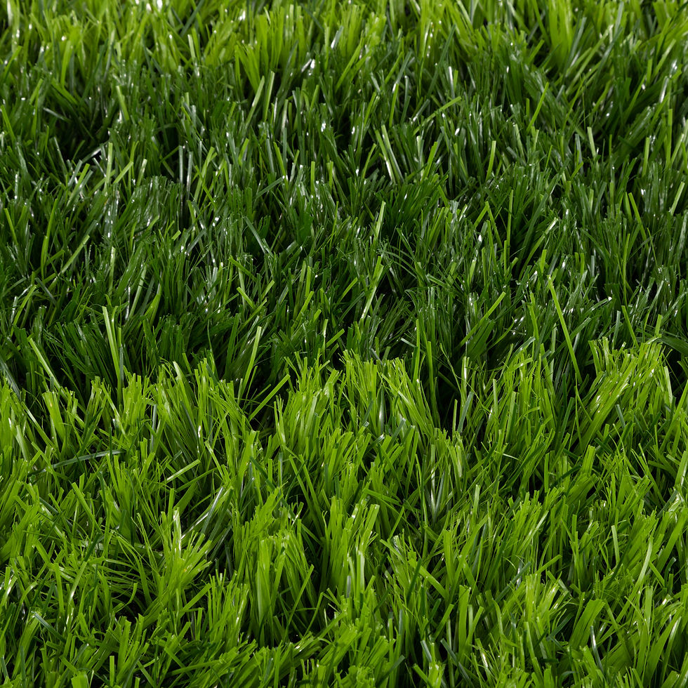 ARENA TURF 5213_2