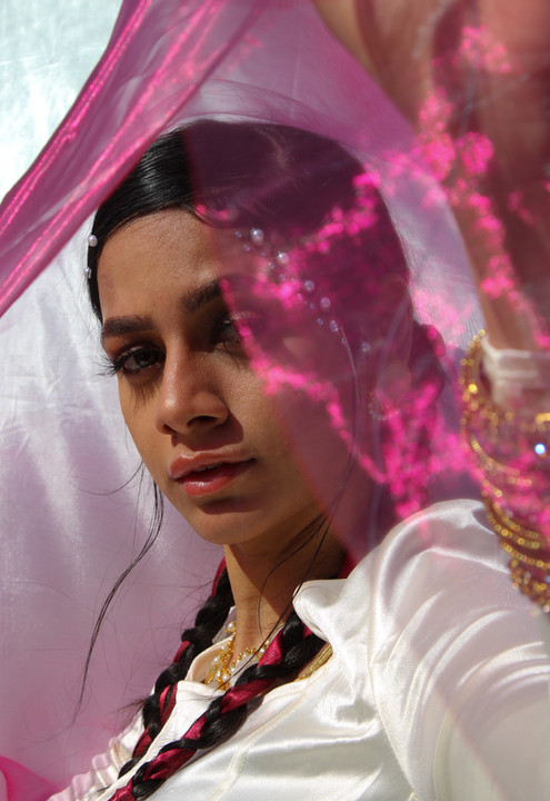 South Asian Hair