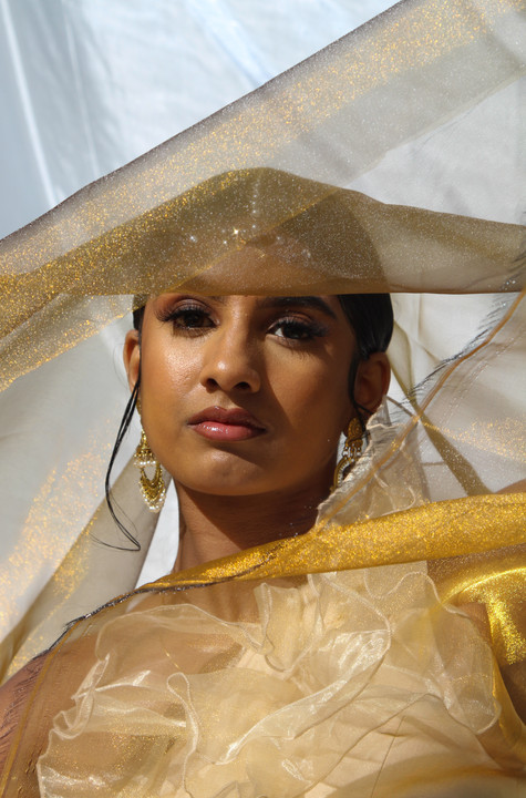 South Asian Hair