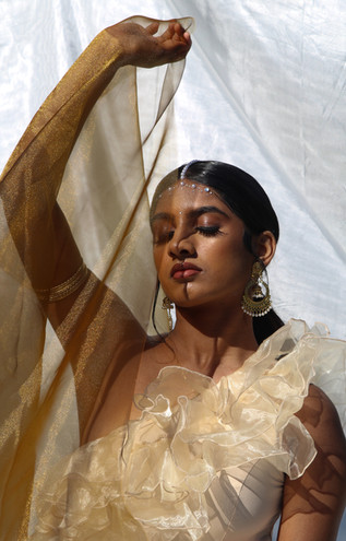 South Asian Hair