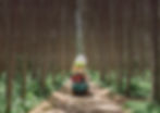 Feature Image.jpg