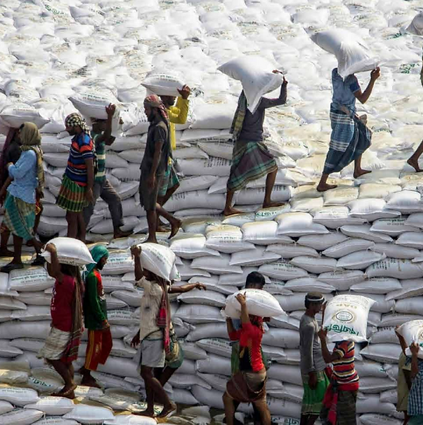 The Law of Global Value Chains: Theory and Practice at Work