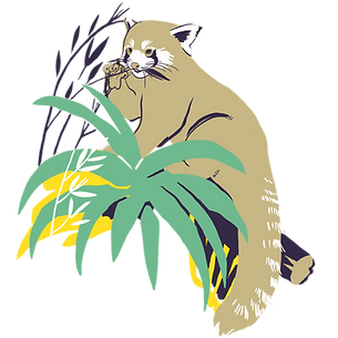 Panda ROux.png