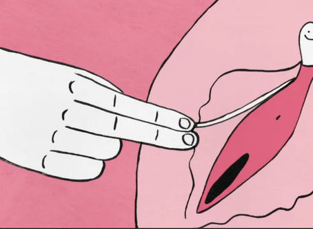 CLÍTORIS: Guía Práctica