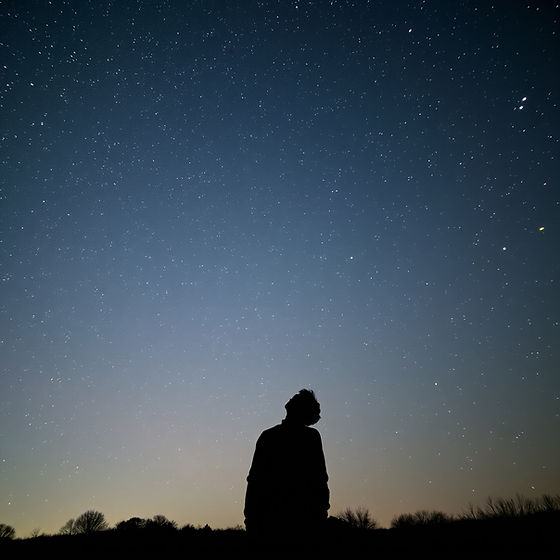 silhouette of a person looking up at a sky full of stars and constellations.jpg