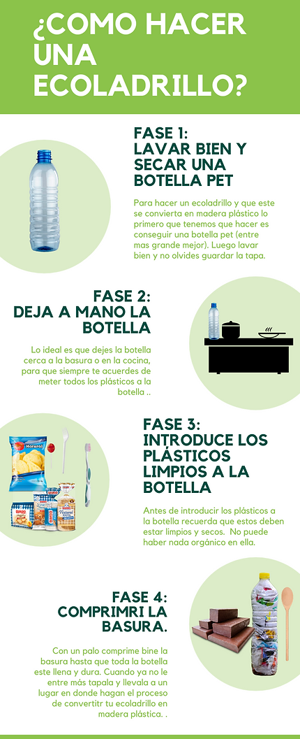Verde_IlustraciÃ³n_Mariposa_CronologÃ­a_