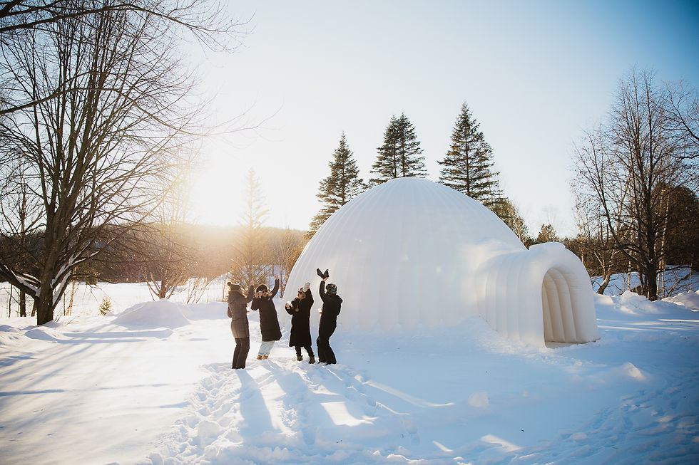 Carling 27-12-25-043.jpg