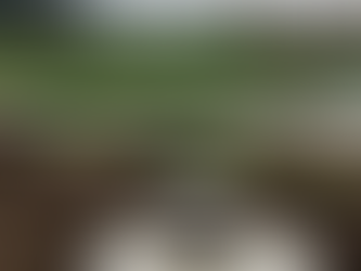 Septic Care 101: Maintaining a Healthy System