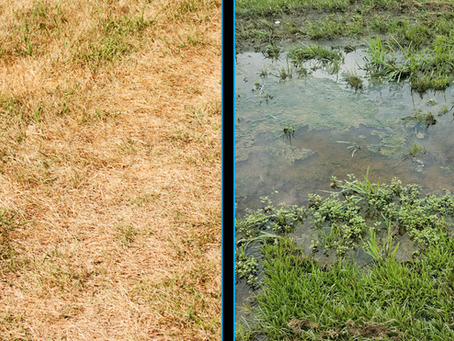 When It’s Dry, Then Wet: How Summer Weather Swings Can Impact Your Plumbing System