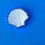 Thumbnail: SHELL plate 