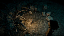 Окаменевшая сколопендра