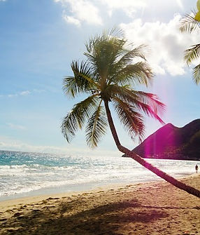 Grande_Anse_Diamant_Martinique_Paradis_Manon.JPG