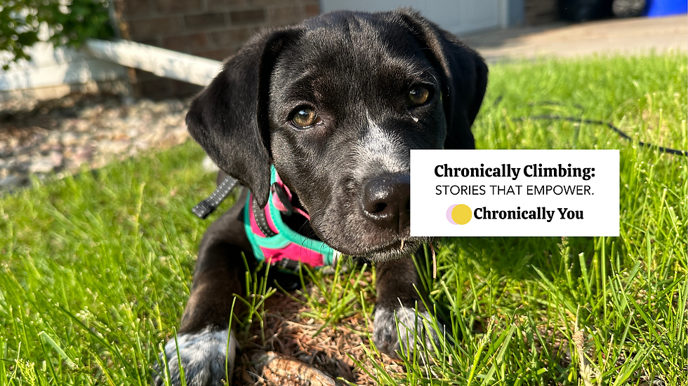 Benefits of Dogs for Type 1 Diabetes | Julia Flaherty | Chronically Climbing