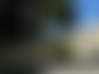 Help Preserve Our 1889 Colony Flagpole via our Go Fund Me