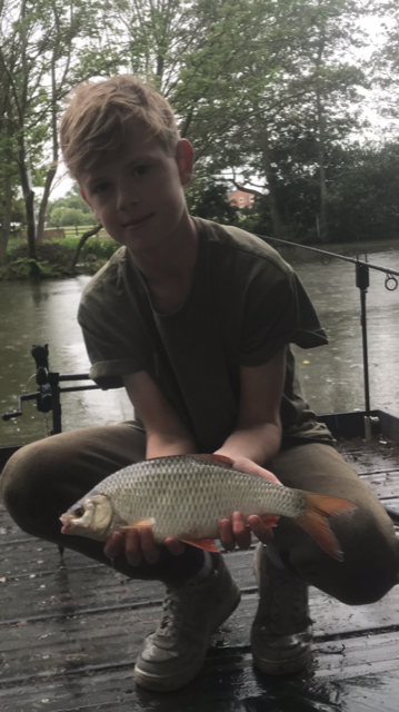 Roach - 2lb 4oz