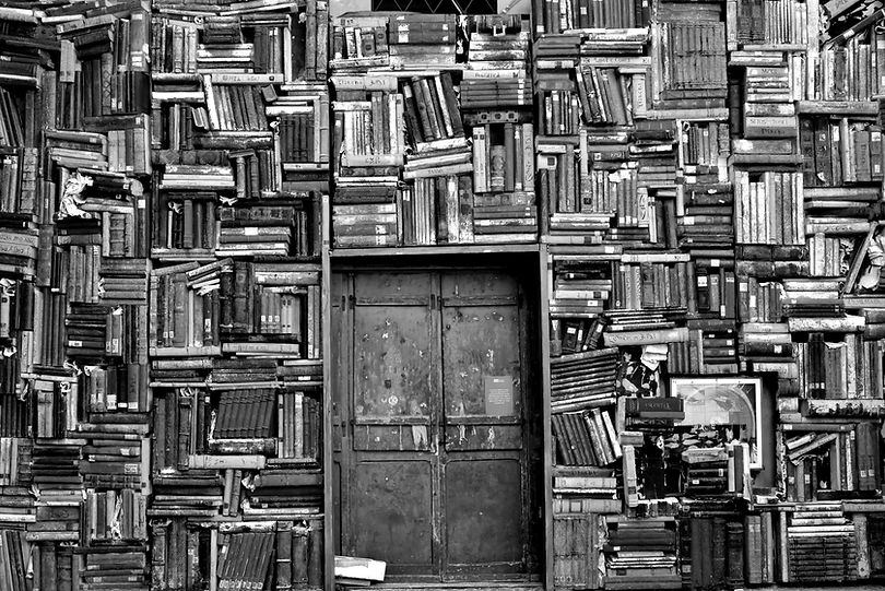 The key to unlocking orthographic mappingLibrary Wall Door