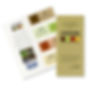 Cornerstones of Life Program