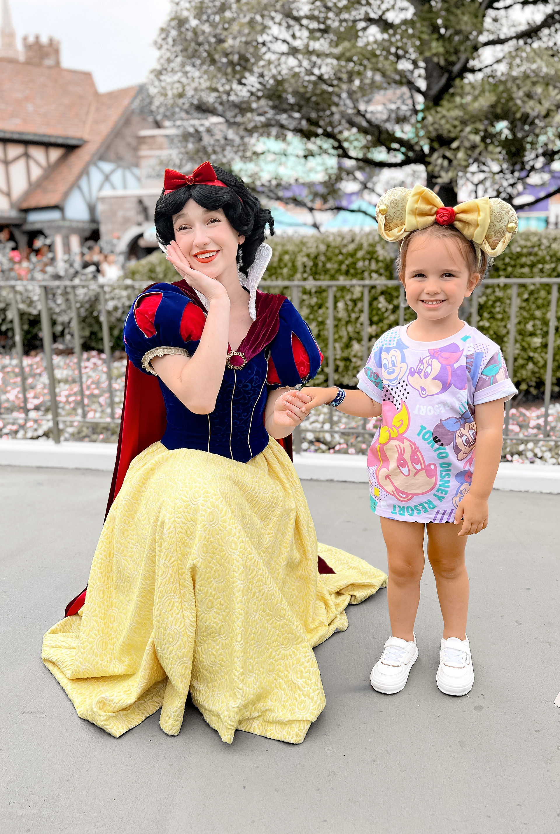 Tokyo Disney Princess Character