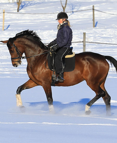 Norrkulla talvi