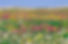 327705_475599639130899_1757927679_o.jpg