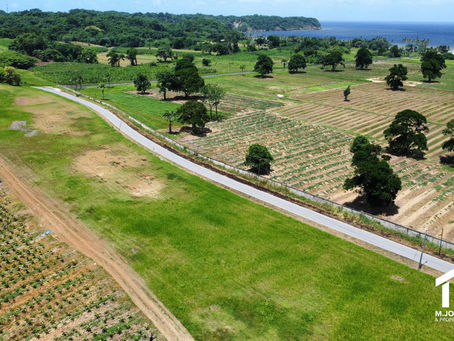 Land For Sale Mayaro