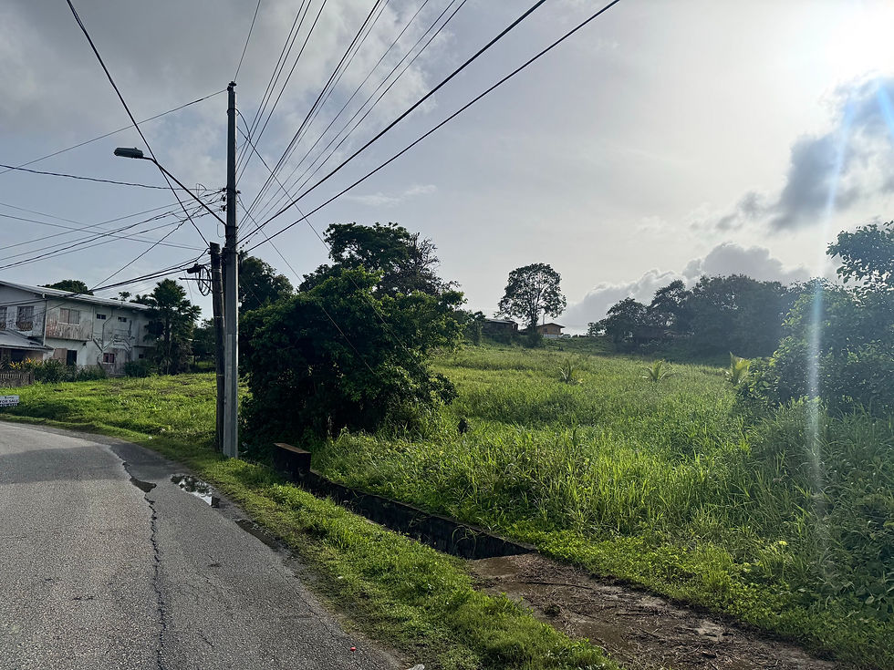 Land For Sale Princes Town